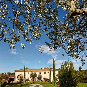 https://bb-ai-condotti-di-pisa-da-filippo.it-tuscanyhotel.com